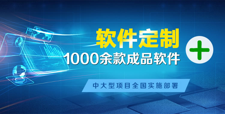 洋浦经济开发区管理系统软件软件开发